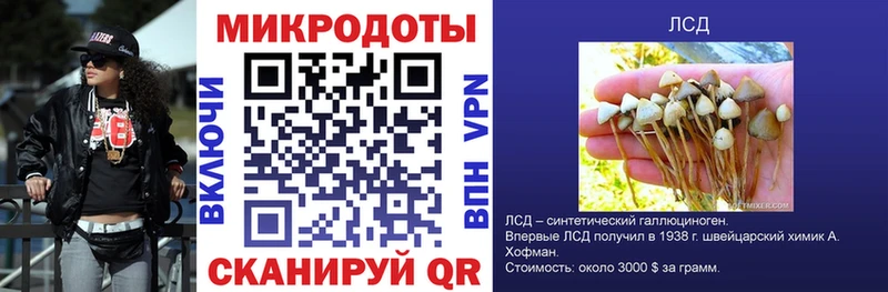 Купить закладки  Динская  Галлюциногенные грибы Magic Shrooms 