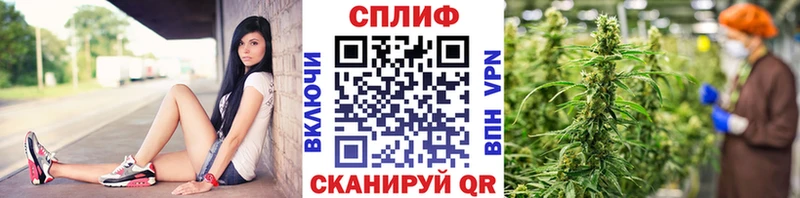 Купить закладки  Динская  Бошки марихуана THC 21% 